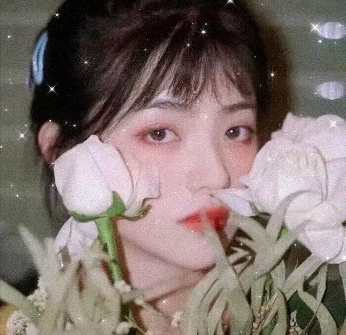 无所畏惧之永不放弃